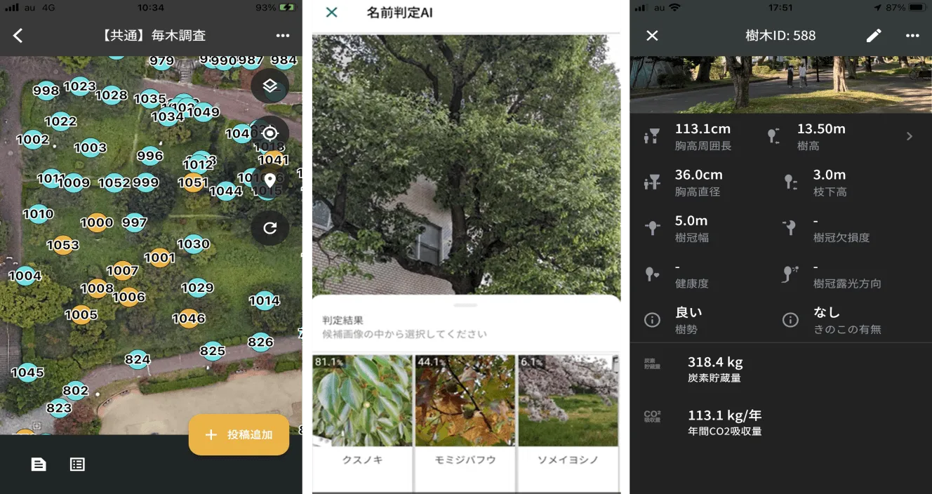 市民協働データ収集アプリの画面。毎木調査マップ・AI樹種判定・樹木詳細（CO2吸収量表示）